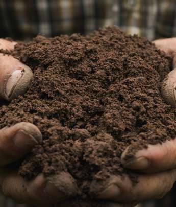 Bag Potting Soils / Mulches