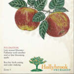 Hollybrook