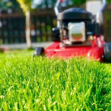 Lawn mowing
