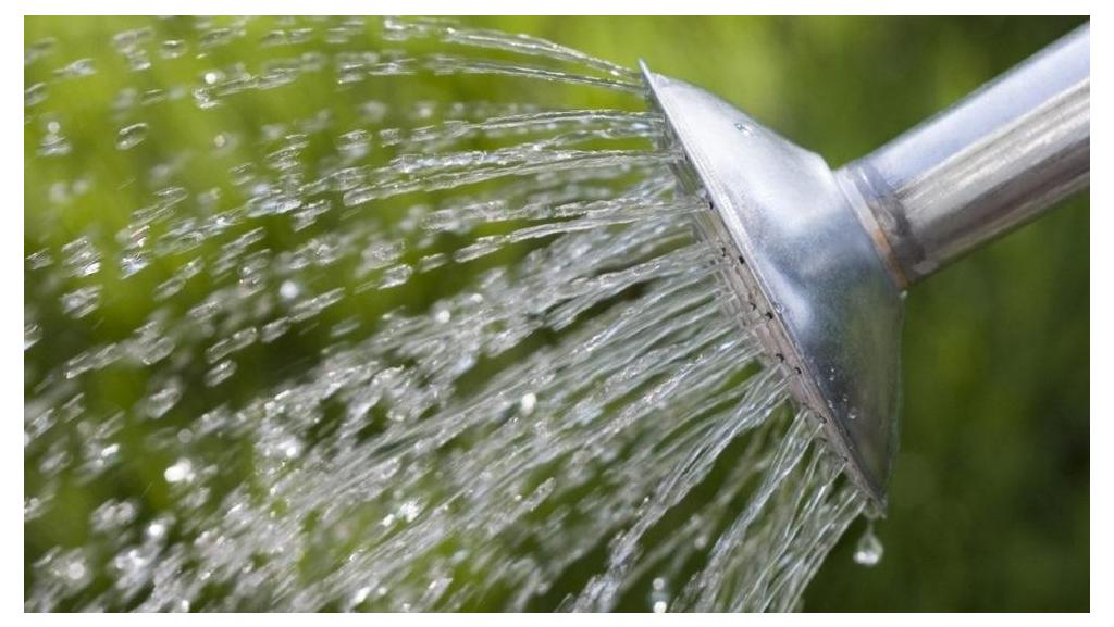 Watering with a watering can
