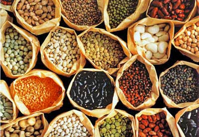 assorted garden seeds