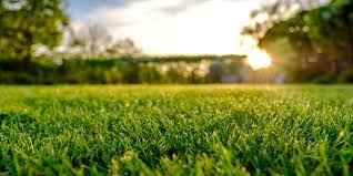 Sun setting over a lawn