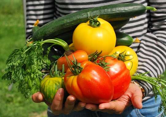 arms full of fresh picked vegetables