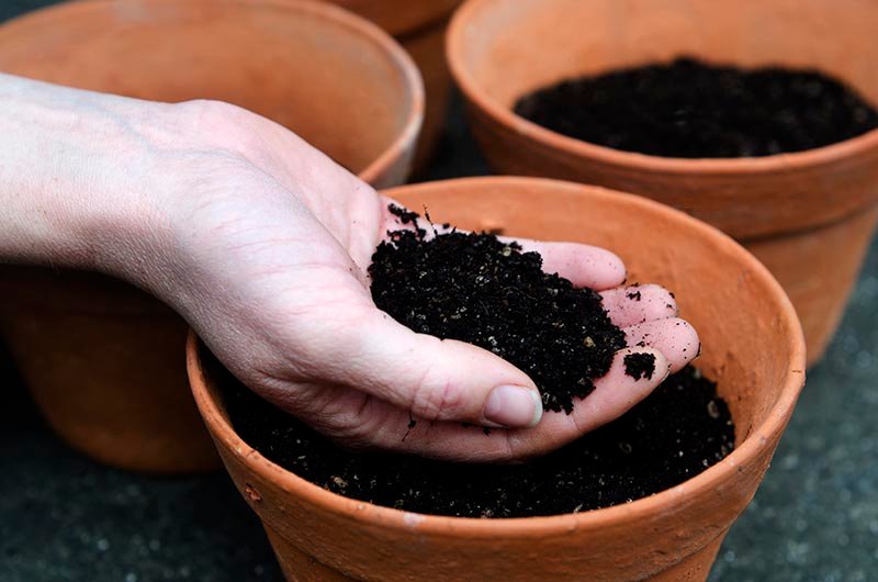 handful of potting soil over a clay pot