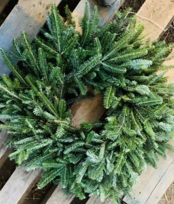 Fresh Fraser Fir Wreath