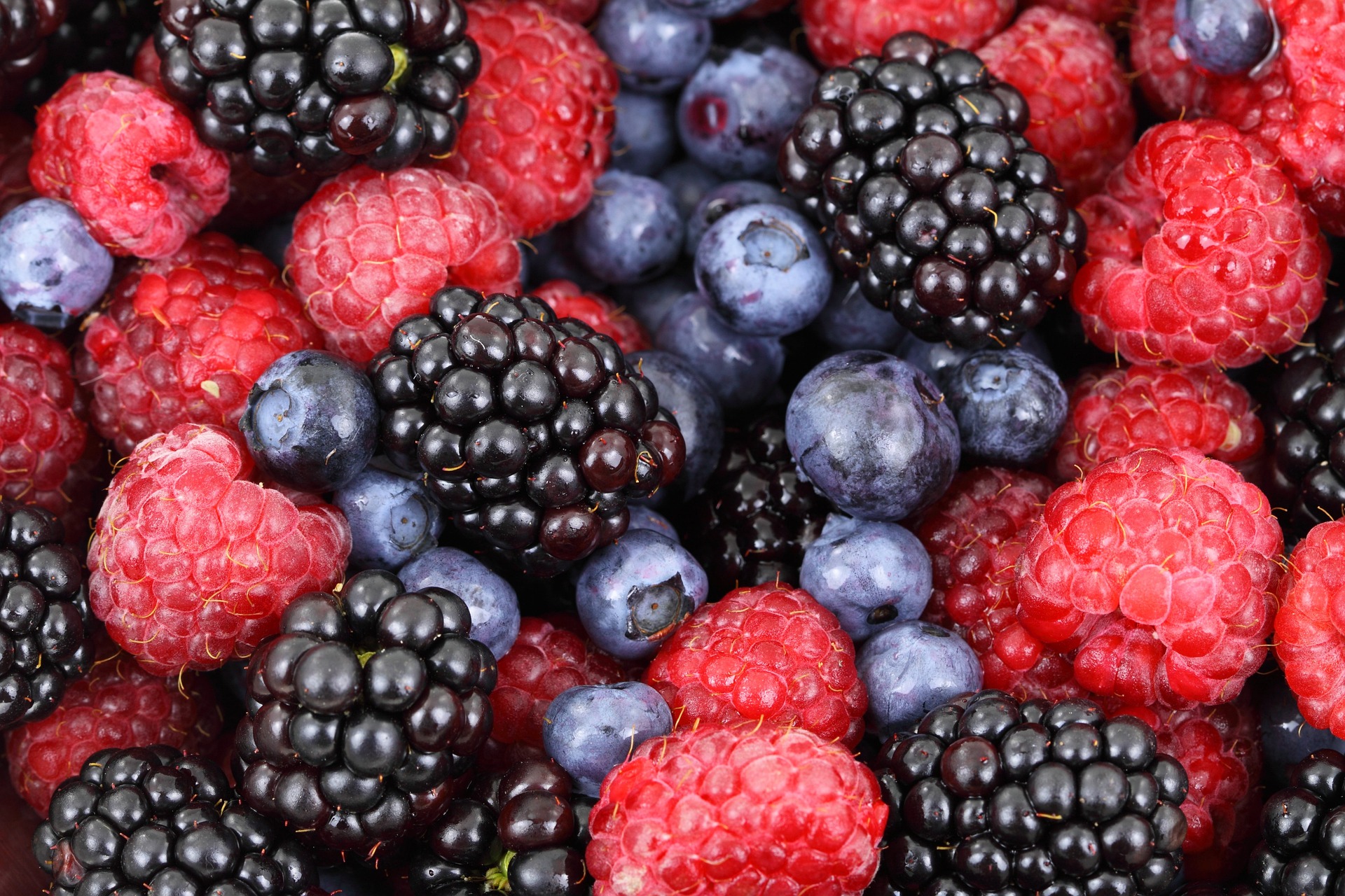 Mix of blueberries, blackberries, and raspberries