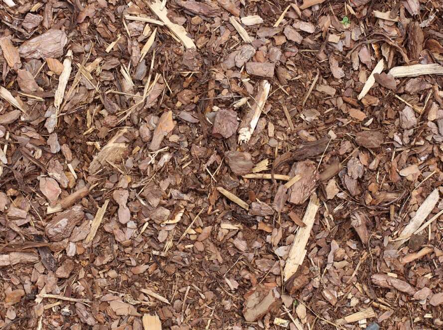 shredded hardwood much up close