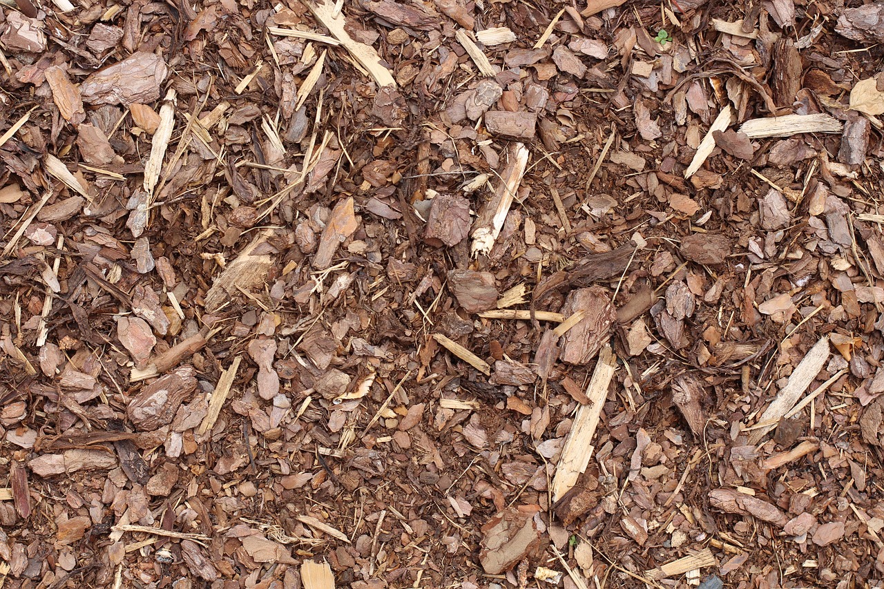 shredded hardwood much up close