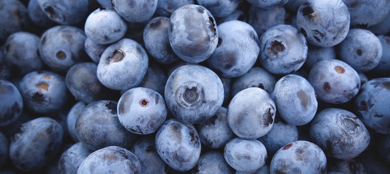 Up close picture of fresh picked blueberries!